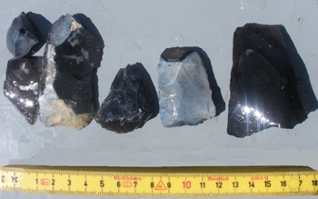 Close up of flint artefacts from Helnaes Bay